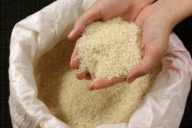 rice_in_hand